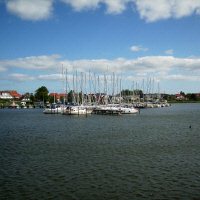 Haven Breege